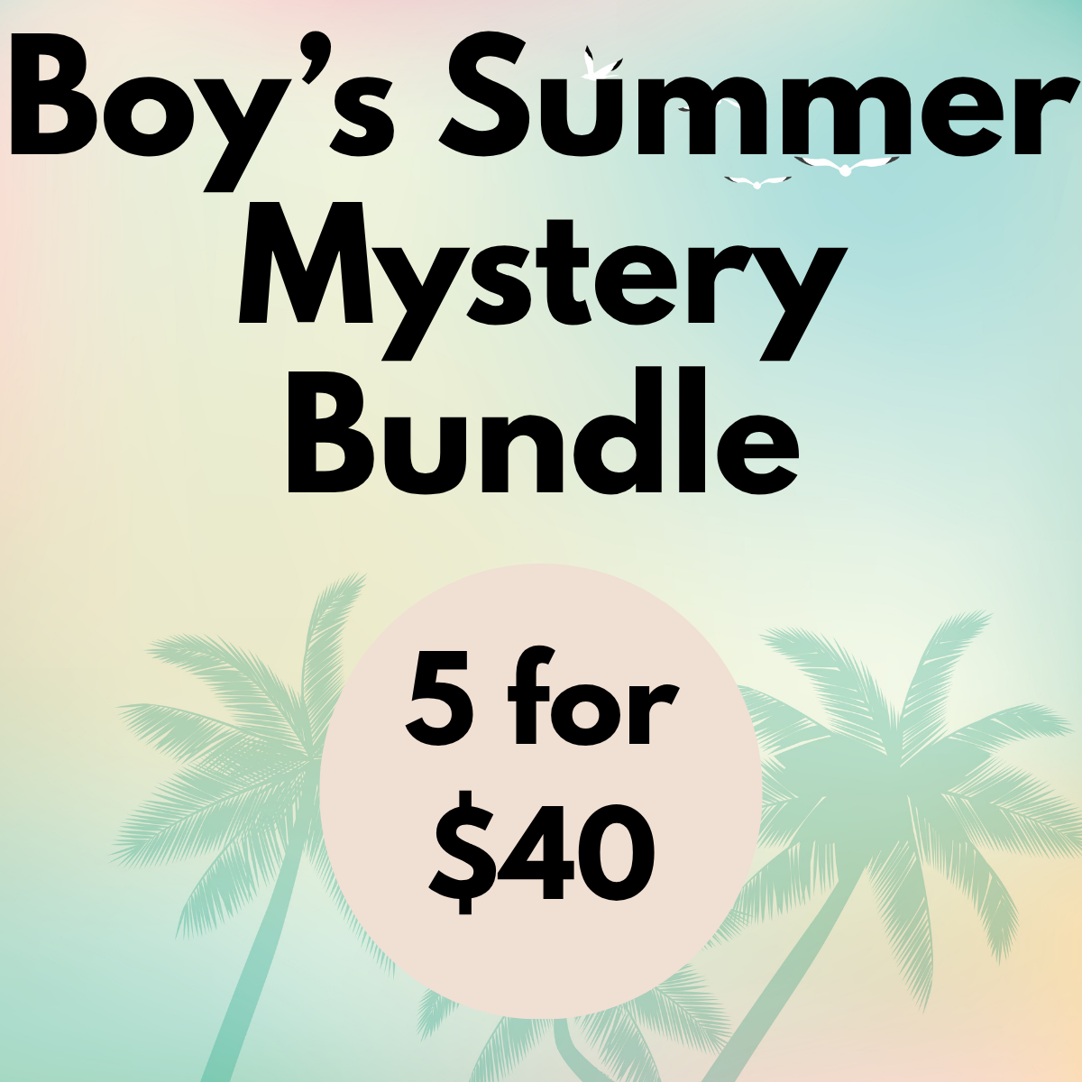 5 for $40 Boy's Summer Mystery Bundle