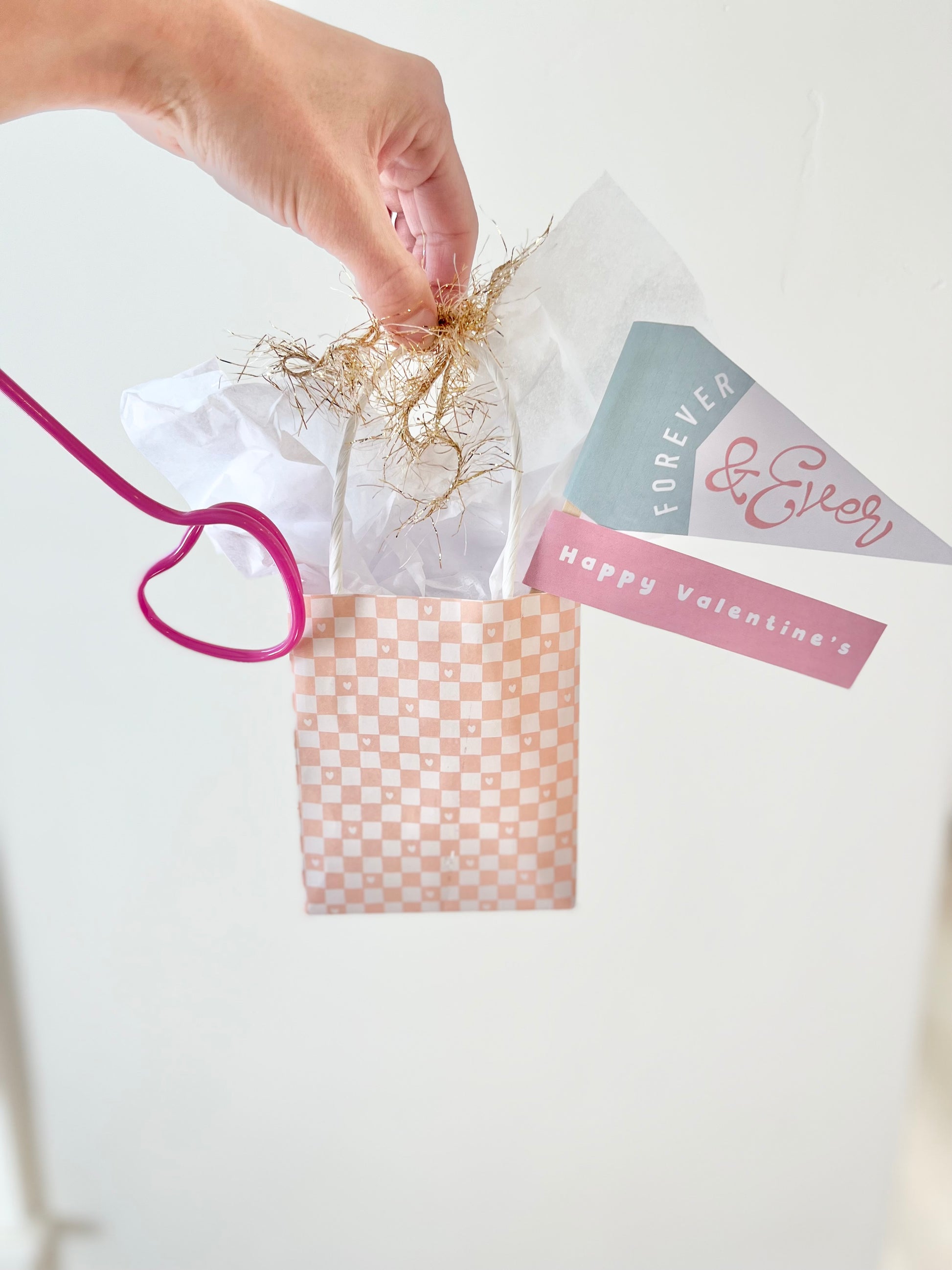 Mini Valentine's Day Gift Bags | 10 Pack Mini Gift | Sweet P Baby Co.